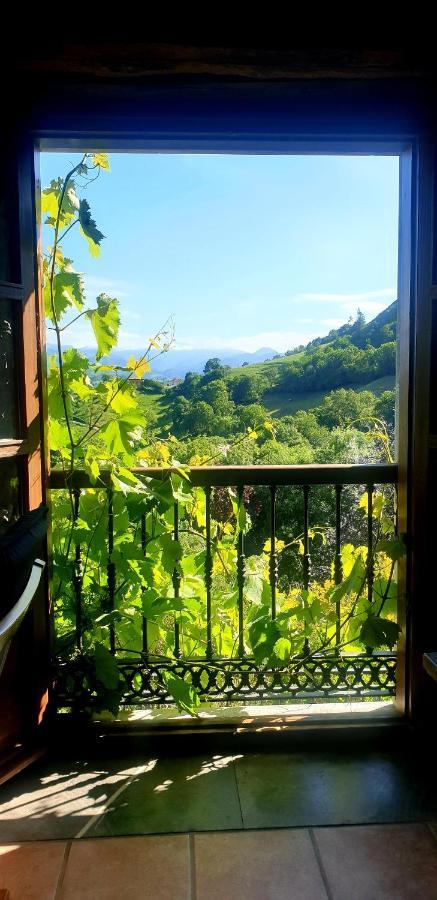 Del Valle Collía